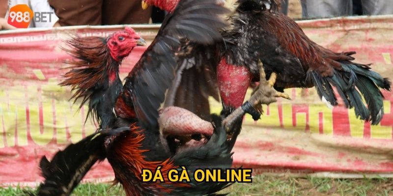 Làm sao để thắng lớn khi chơi đá gà online tại 988Bet? 4 Làm sao để thắng lớn khi chơi đá gà online tại 988Bet?