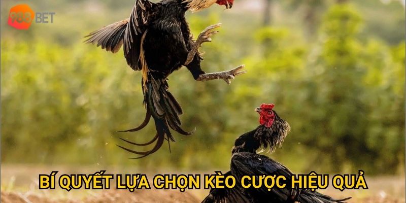 Bí quyết lựa chọn kèo cược hiệu quả